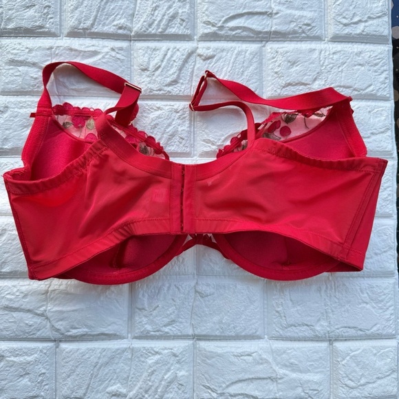 Cacique - Lane Bryant Red Cherries Lightly Lined French Balconette Bra 42DDD - Picture 6 of 8